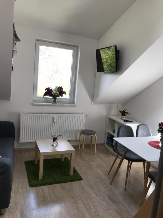 Mezonetovy Apartman Isabela Loucna nad Desnou Ngoại thất bức ảnh